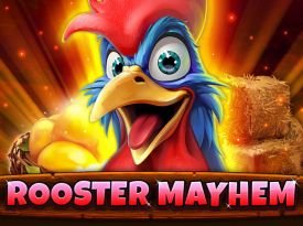 Rooster Mayhem