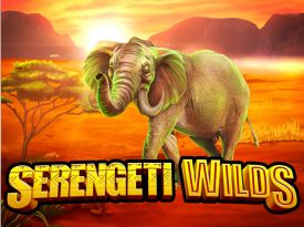 Serengeti Wilds