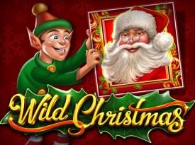 Wild Christmas