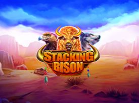 Stacking Bison 