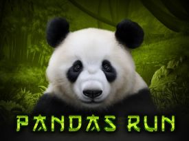 Panda's Run