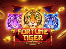 Fortune Tiger