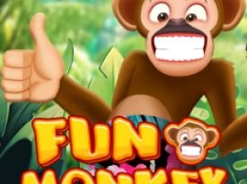 Fun Monkey