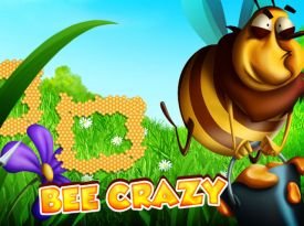 Bee Crazy HD