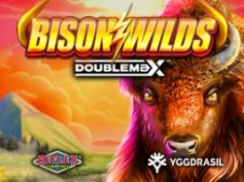 Bison Wilds DoubleMax