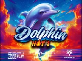 Dolphin Hot 1