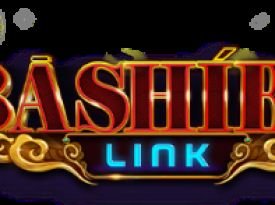 Bashiba Link Warrior